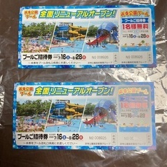 浜寺公園プール　無料券チケット　2枚セット