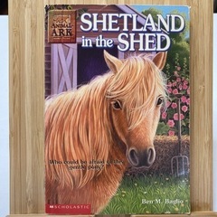 SHETLAND in the SHED