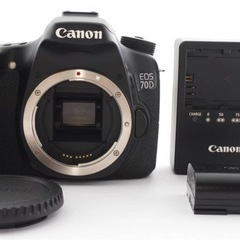 【ネット決済・配送可】Canon ボディー70D レンズEFS ...