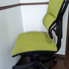 Ergohuman smart（エルゴヒューマン スマート）/ グリーン