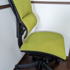 Ergohuman smart（エルゴヒューマン スマート）/ グリーン