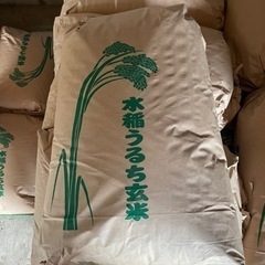 🌟令和4年産🌟　新米🆕コシヒカリ🌾🆕