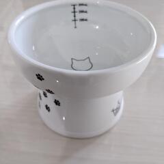 猫　給水器と餌