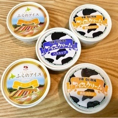 北海道アイスクリームセット　5カップ