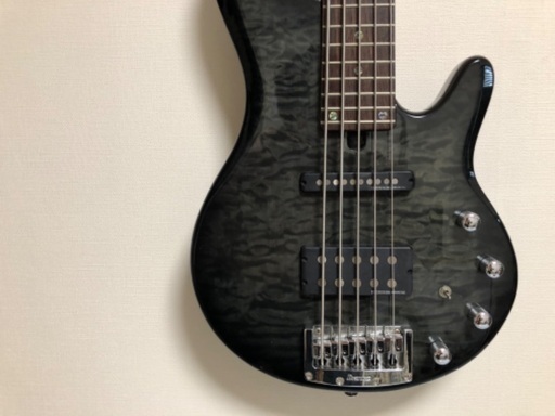 弦楽器、ギター ibanez アイバニーズ ROADGEAR RDGR 5弦ベース RD605