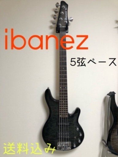 ibanez アイバニーズ ROADGEAR RDGR 5弦ベース RD605 honig.ca