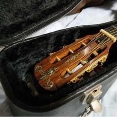 ARIA The Sandpiper SP-250/J 美品