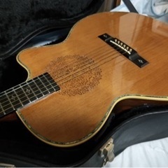 【ネット決済】ARIA The Sandpiper SP-250...