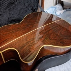 ARIA The Sandpiper SP-250/J 美品