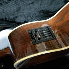 ARIA The Sandpiper SP-250/J 美品