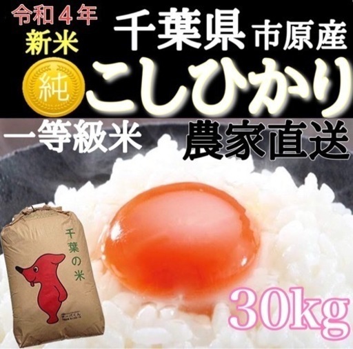 今年の【令和4年新米】コシヒカリ