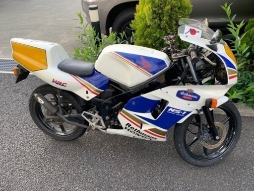 その他 NS1