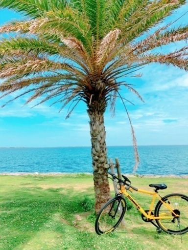 試用期間5ヶ月【HUMMER】自転車 雨除けiPhoneケース、サビ落とし&サビ