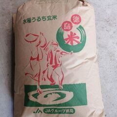 令和三年産　徳島県阿波市産コシヒカリ⑥　玄米30kg