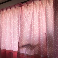 カーテン　ピンク　水玉の画像