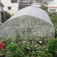 ビニールハウス。パイプハウス  農家用
