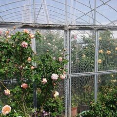 ビニールハウス。パイプハウス  農家用