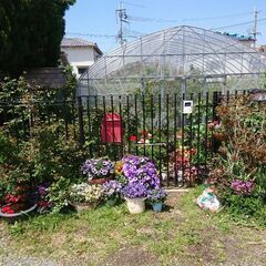 ビニールハウス。パイプハウス  農家用