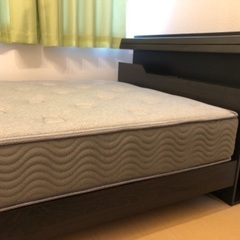 セミダブルベッド　新品未使用品