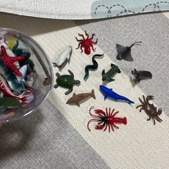 値下げ！新品　海の生き物フィギュア