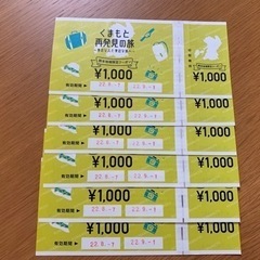 熊本地域限定クーポン　6000円分