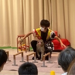 8/27〜29桃花台ドンキで猿まわしショー🐒