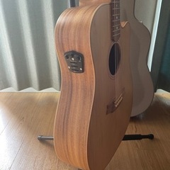 【交渉可】美品｜ColeClark｜FL2EC-BB アコースティックギター