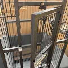鳥かご バードケージ 大型鳥かご シカゴ発PrevuePet プレビューペット