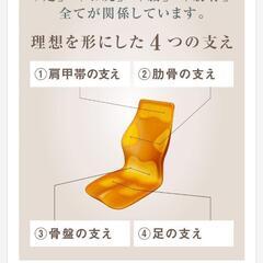 ピントドライバー p!nto driverドライバー専用クッション グレー