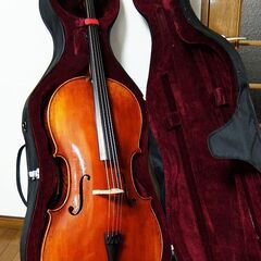 【期間限定値下げ】Ｎｏ．030🌈冷凍庫　冷凍ストッカー🧊-Eastman VC501 チェロ イーストマン 美品