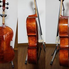 Eastman VC501 チェロ イーストマン 美品