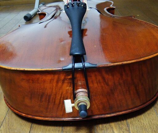 Eastman VC501 チェロ イーストマン 美品