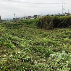 草刈り　年間4〜5回20000円で1年中綺麗な状態で管理致します。