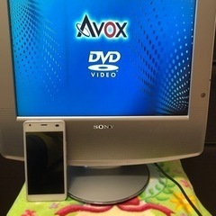 テレビ？モニター