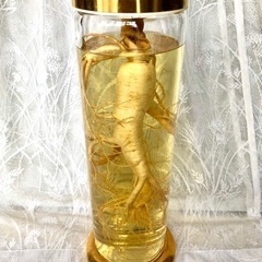 高麗人参　酒　40年以上 ④特大 高麗人参酒 朝鮮人参酒 古酒 40年以上もの