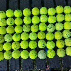テニスボール　60球