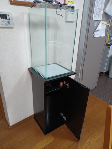 超ハイタイプキューブ水槽