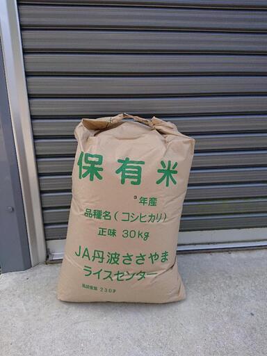 まもなく収穫！丹波篠山産 コシヒカリ！【令和五年度分予約受付中】