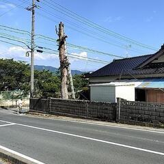 伐採、草刈、太陽光発電所メンテ承ります