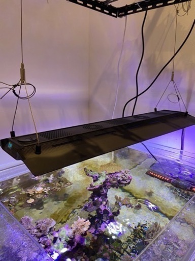 【美品！】maxspect R5-150