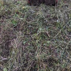 🌀🌈☀️🔥斜面草刈り機　　ヤンマー　くるるん🌀🌈☀️🔥