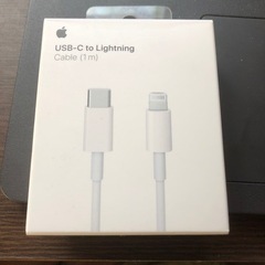 USB-C to Lightning cable(1m)