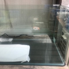 新品未使用120センチガラス水槽　フレームレス前面R加工　アクリル水槽