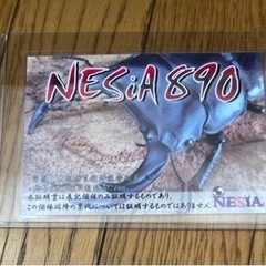 急ぎです　国産オオクワガタ　NESiA890系　幼虫