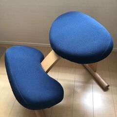 姿勢矯正椅子　バランス イージー(通常シリーズ・カバー付き・ネイビー）
