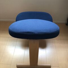 姿勢矯正椅子　バランス イージー(通常シリーズ・カバー付き・ネイビー）