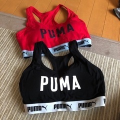 puma