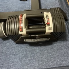 ダンベル　40.5kg✖️2つ