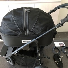 取りに来てくれる方限定エアバギー  フォー　ドッグ　ドーム2