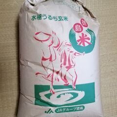 新米　令和四年産コシヒカリ　玄米30kg